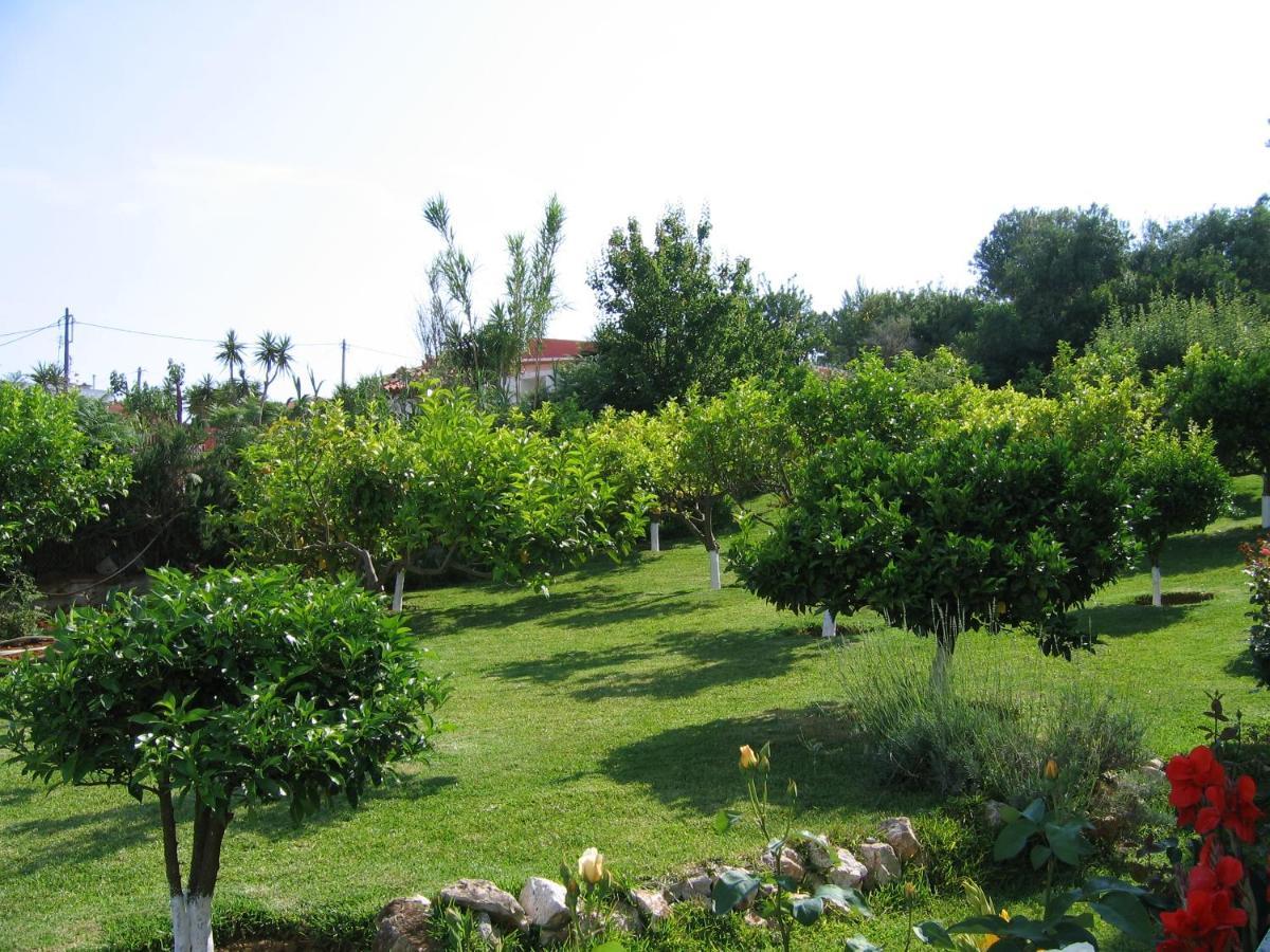 Tara Beach Hotel Skala  Kültér fotó